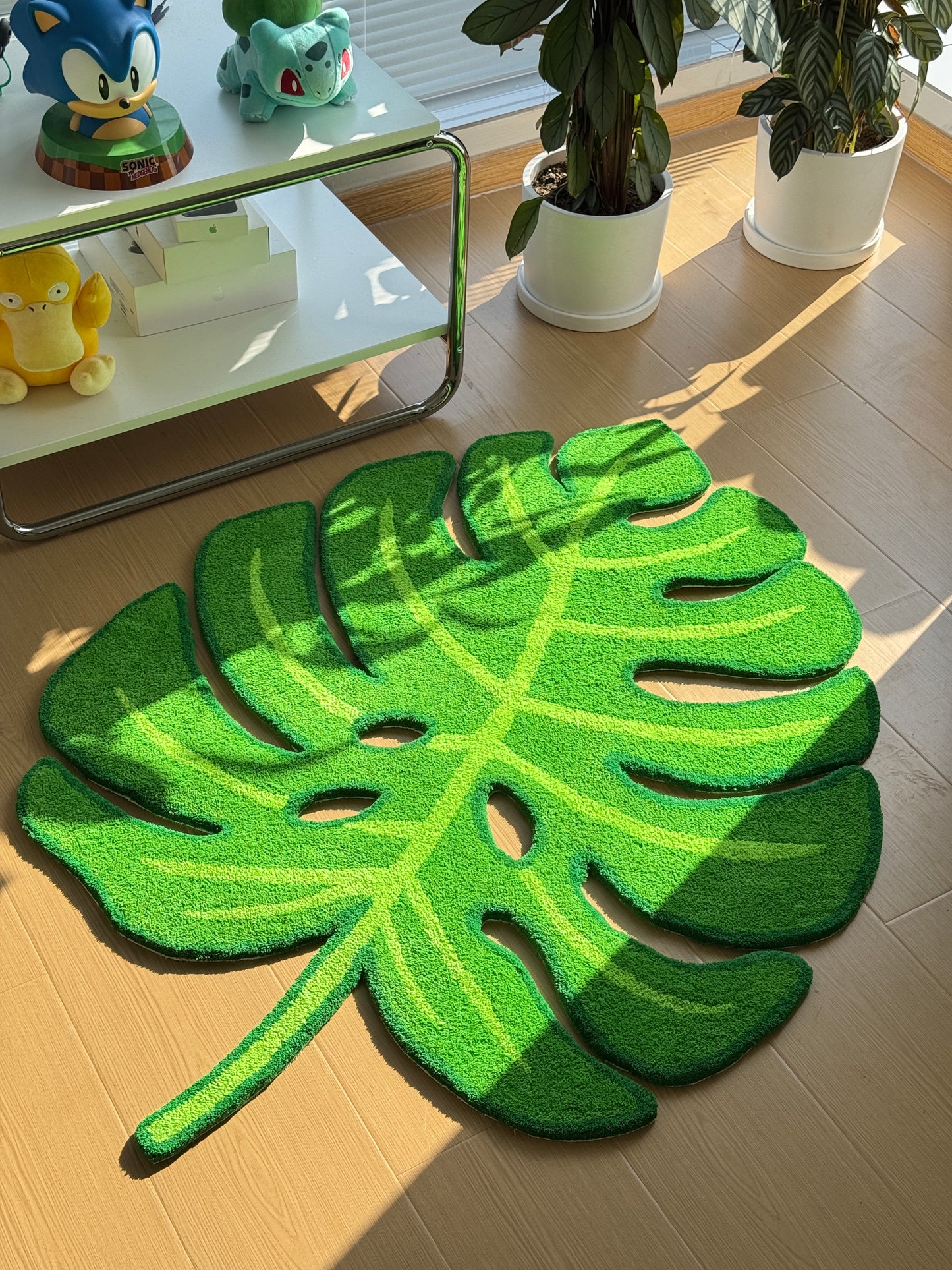 Monstera leaf